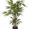 Home Living Anko Decorative Accents | Artificial Bamboo Plant