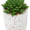 Home Living Anko Decorative Accents | Artificial Succulent Plant And Terrazzo Pot