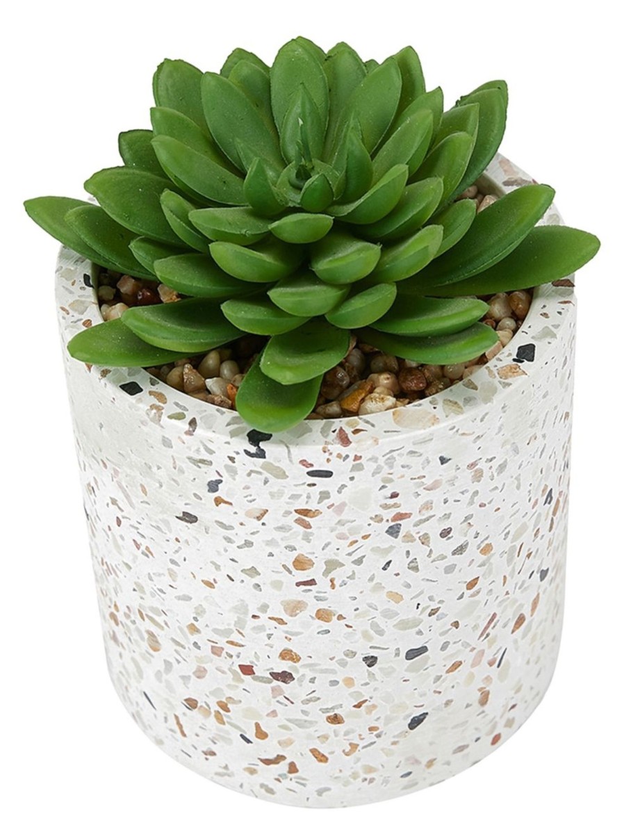 Home Living Anko Decorative Accents | Artificial Succulent Plant And Terrazzo Pot