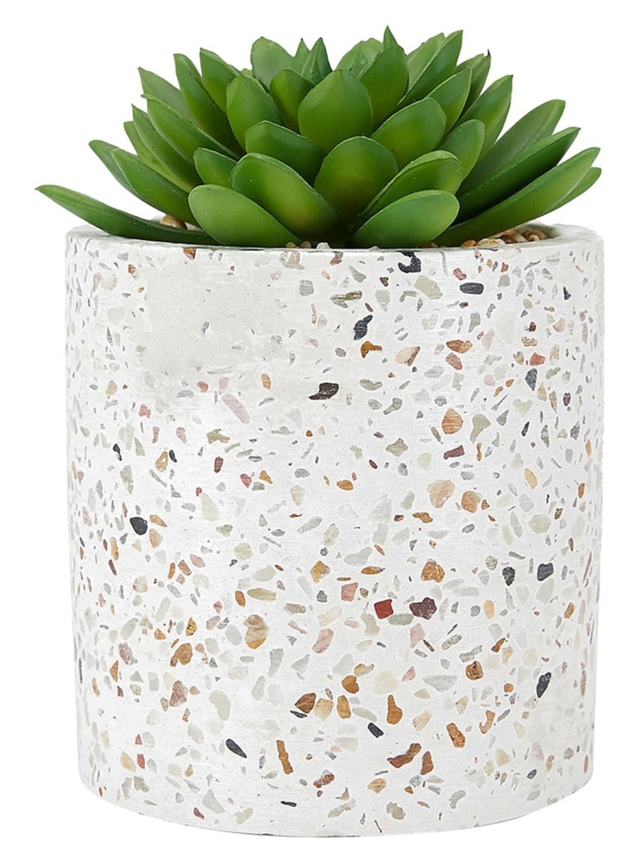 Home Living Anko Decorative Accents | Artificial Succulent Plant And Terrazzo Pot