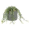 Home Living Anko Decorative Accents | Grey Pot Artificial Plant