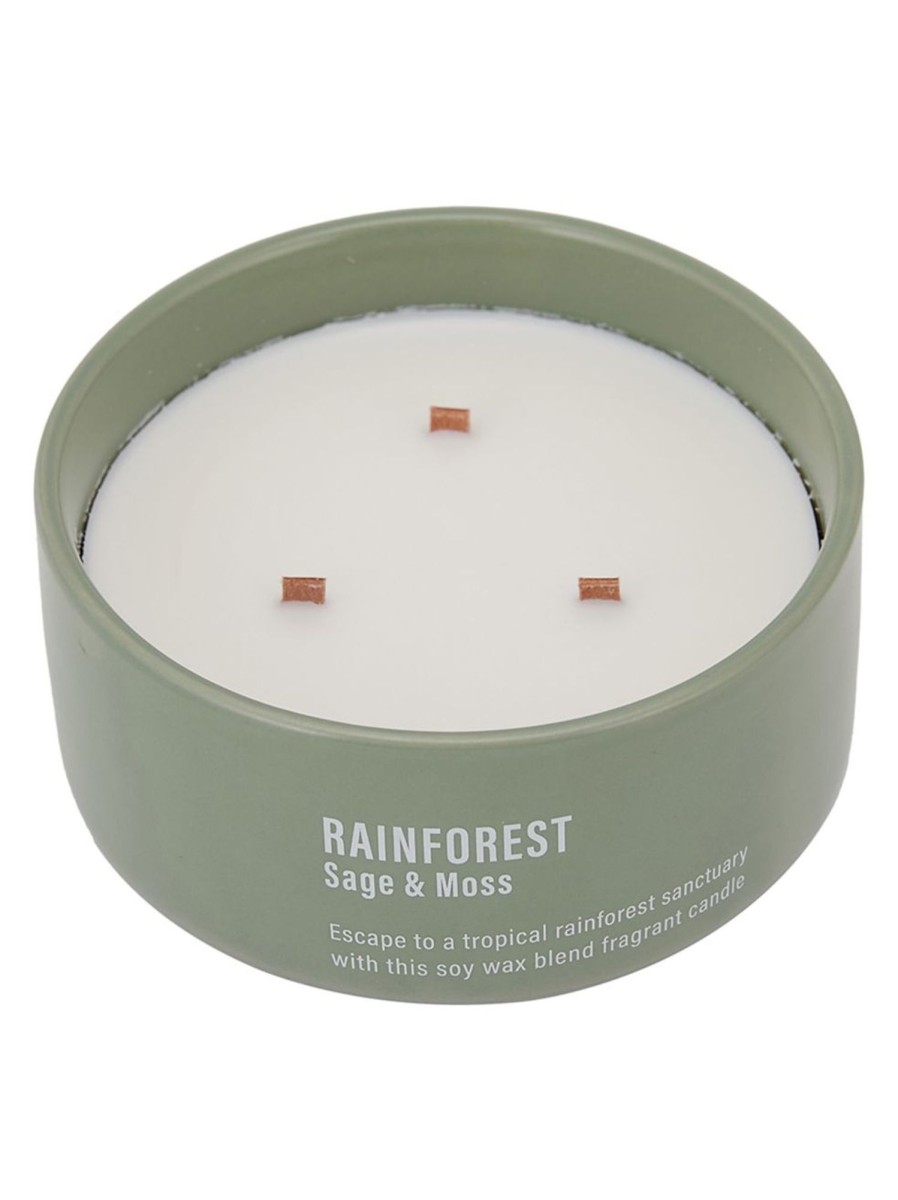 Wellness Anko Candles | Rainforest Scented Large Candle, 508G