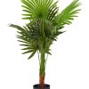 Home Living Anko Decorative Accents | Artificial Potted Fan Palm Plant