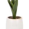 Home Living Anko Decorative Accents | Artificial Succulent In Glazed Pot