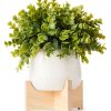 Home Living Anko Decorative Accents | Artificial Box Tree On A Stand