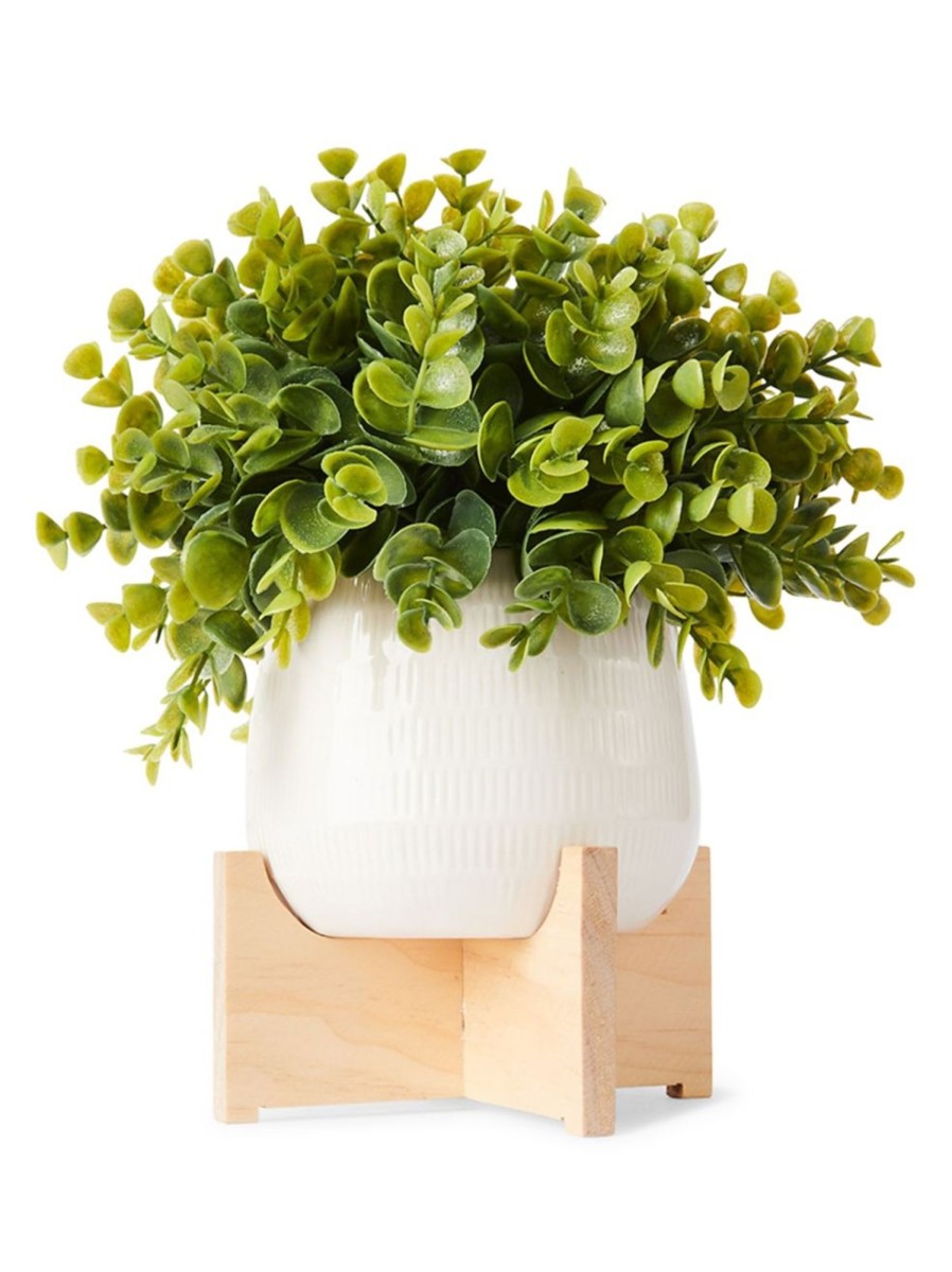 Home Living Anko Decorative Accents | Artificial Box Tree On A Stand