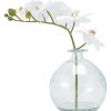 Home Living Anko Decorative Accents | Artificial Orchid In Vase