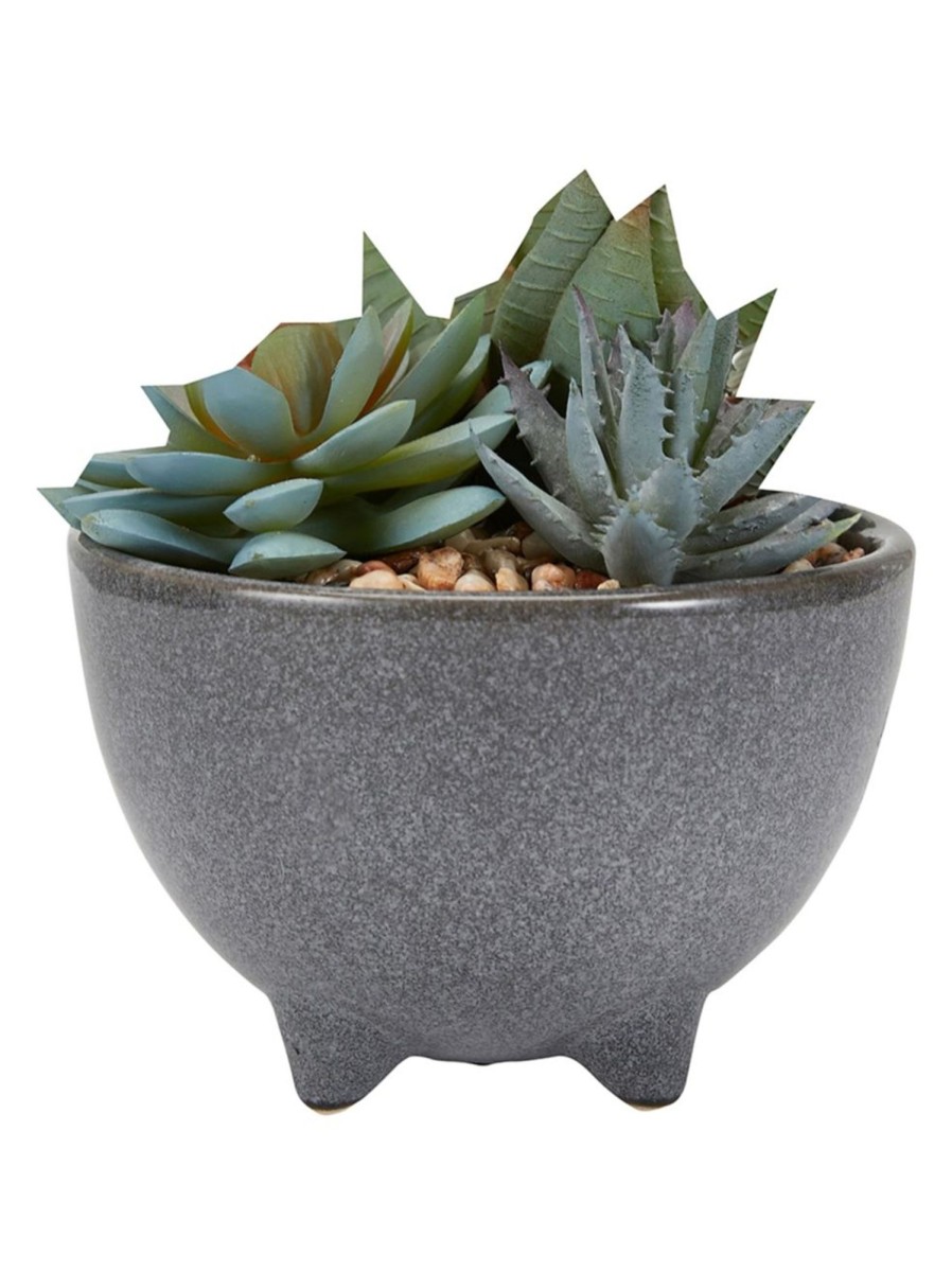 Home Living Anko Decorative Accents | Artificial Succulent In Glazed Pot