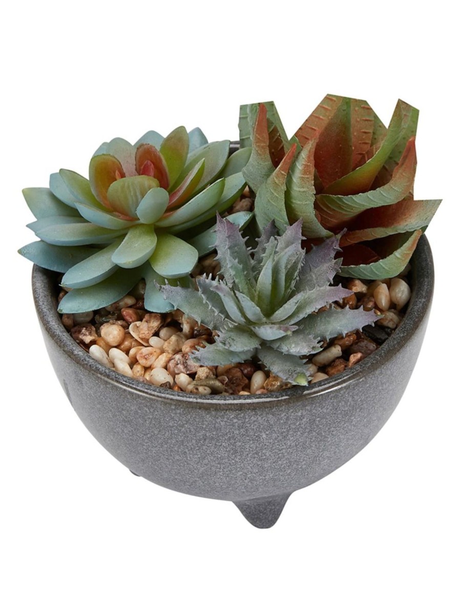 Home Living Anko Decorative Accents | Artificial Succulent In Glazed Pot