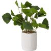 Home Living Anko Decorative Accents | Artificial Plant In Linear Pot