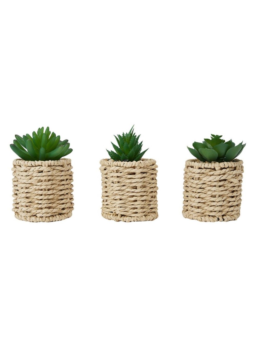 Home Living Anko Decorative Accents | 3-Piece Artificial Succulents And Rattan-Look Pot Set