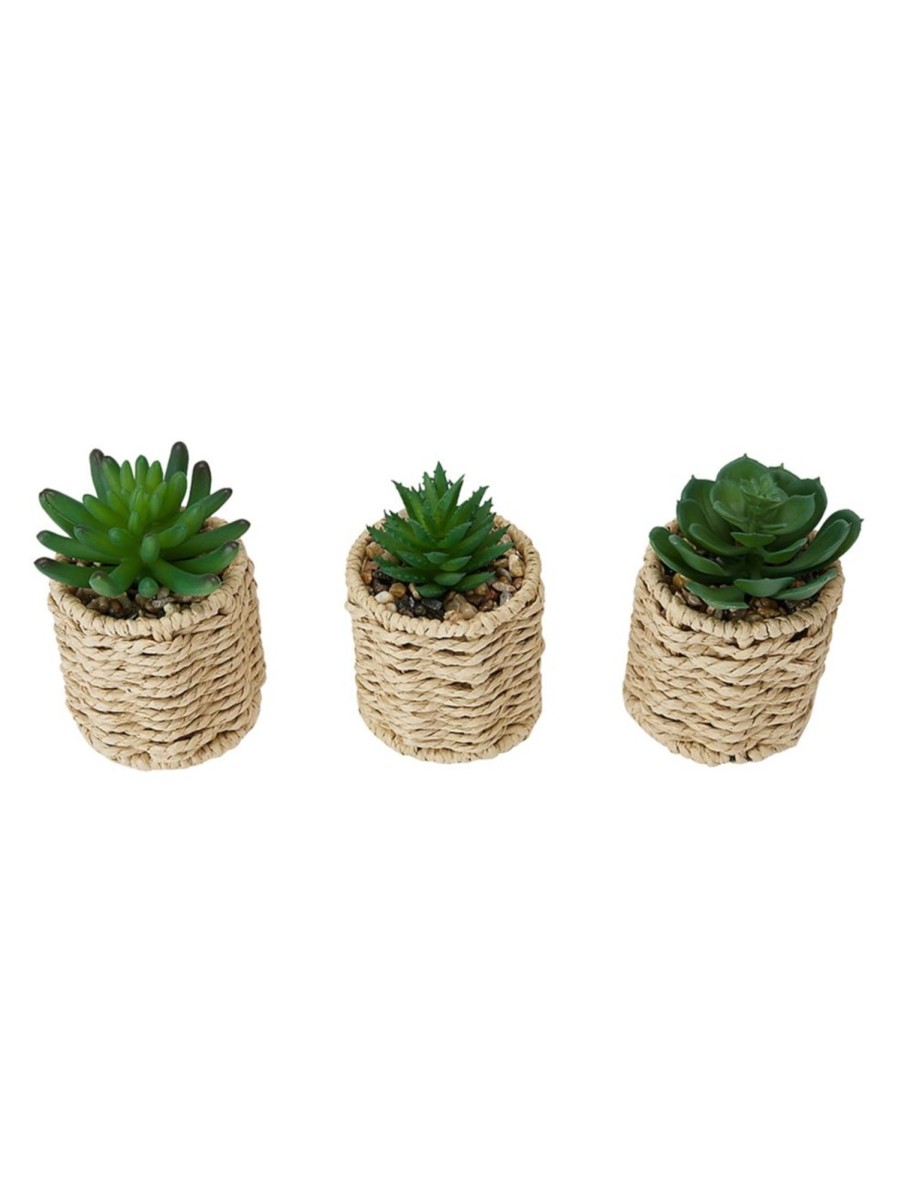 Home Living Anko Decorative Accents | 3-Piece Artificial Succulents And Rattan-Look Pot Set