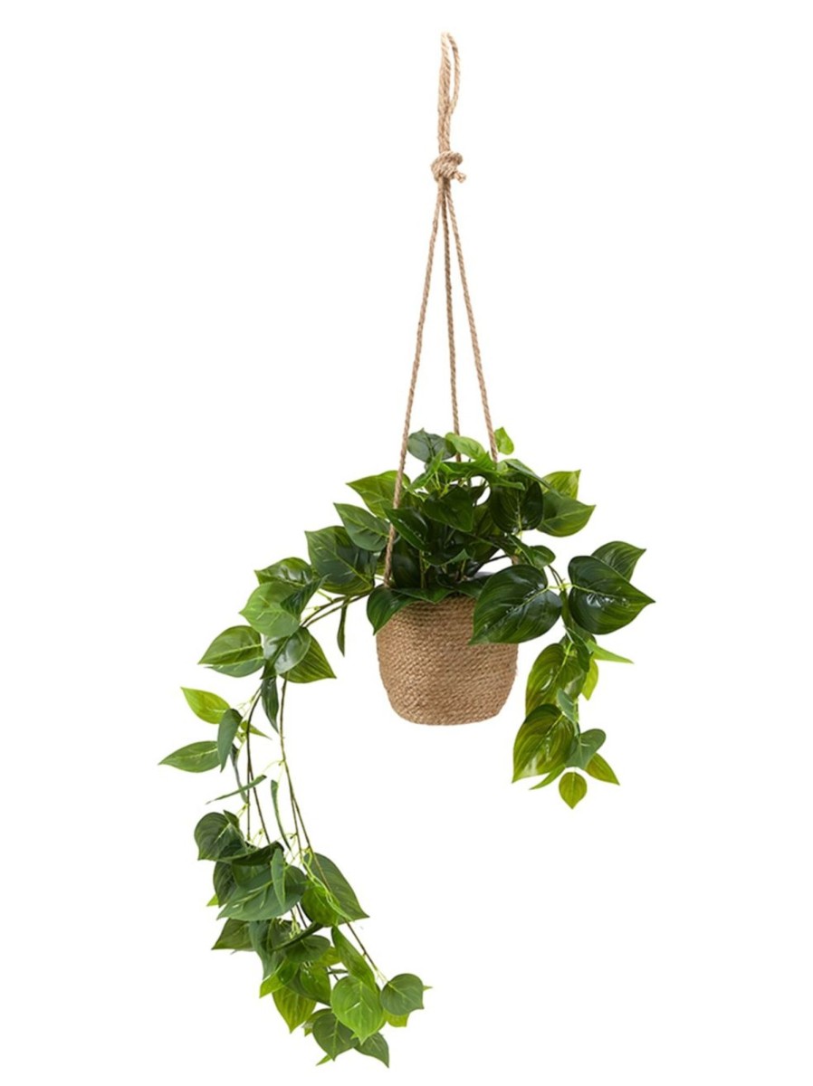 Home Living Anko Decorative Accents | Artificial Hanging Plant Basket