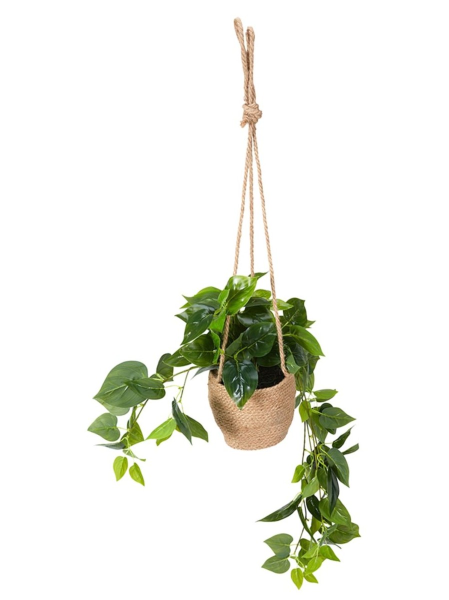 Home Living Anko Decorative Accents | Artificial Hanging Plant Basket