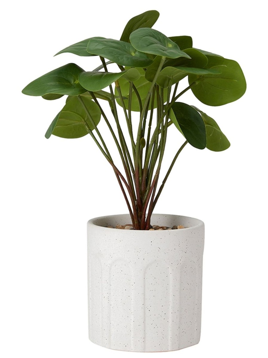 Home Living Anko Decorative Accents | Artificial Pilea In Pot