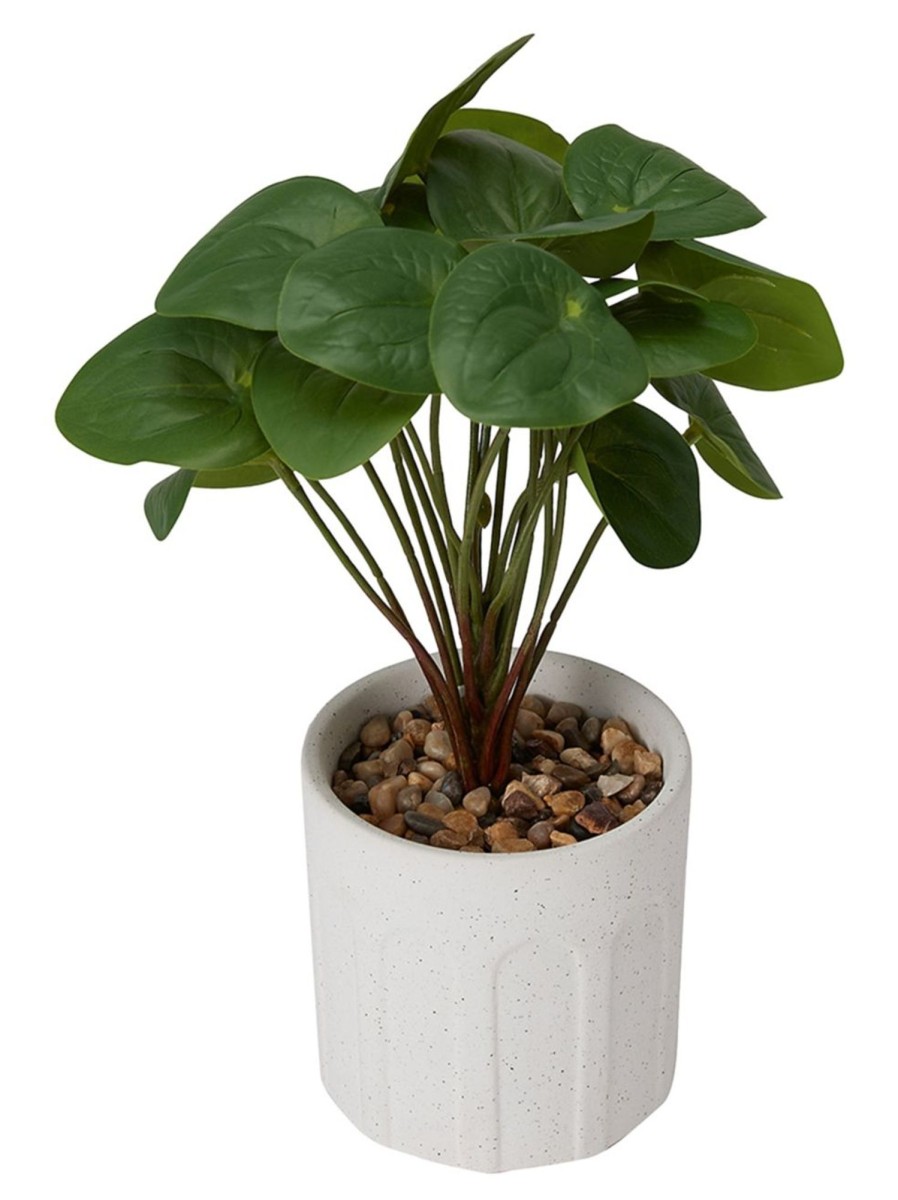 Home Living Anko Decorative Accents | Artificial Pilea In Pot