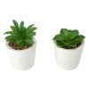 Home Living Anko Decorative Accents | Artificial Succulent In Pot