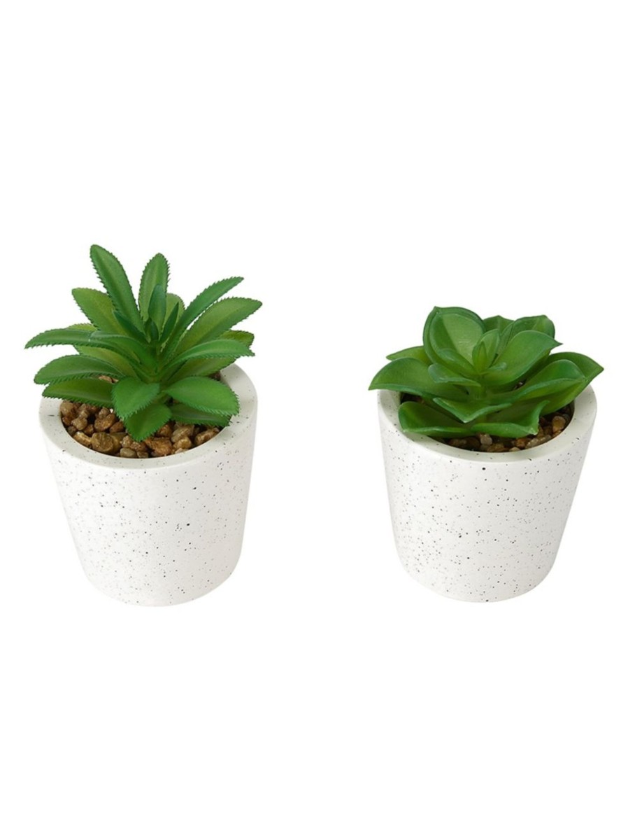 Home Living Anko Decorative Accents | Artificial Succulent In Pot