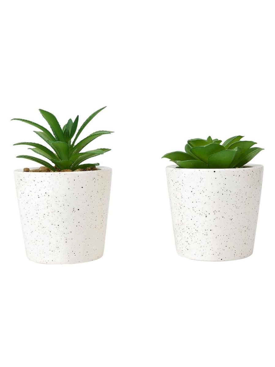 Home Living Anko Decorative Accents | Artificial Succulent In Pot