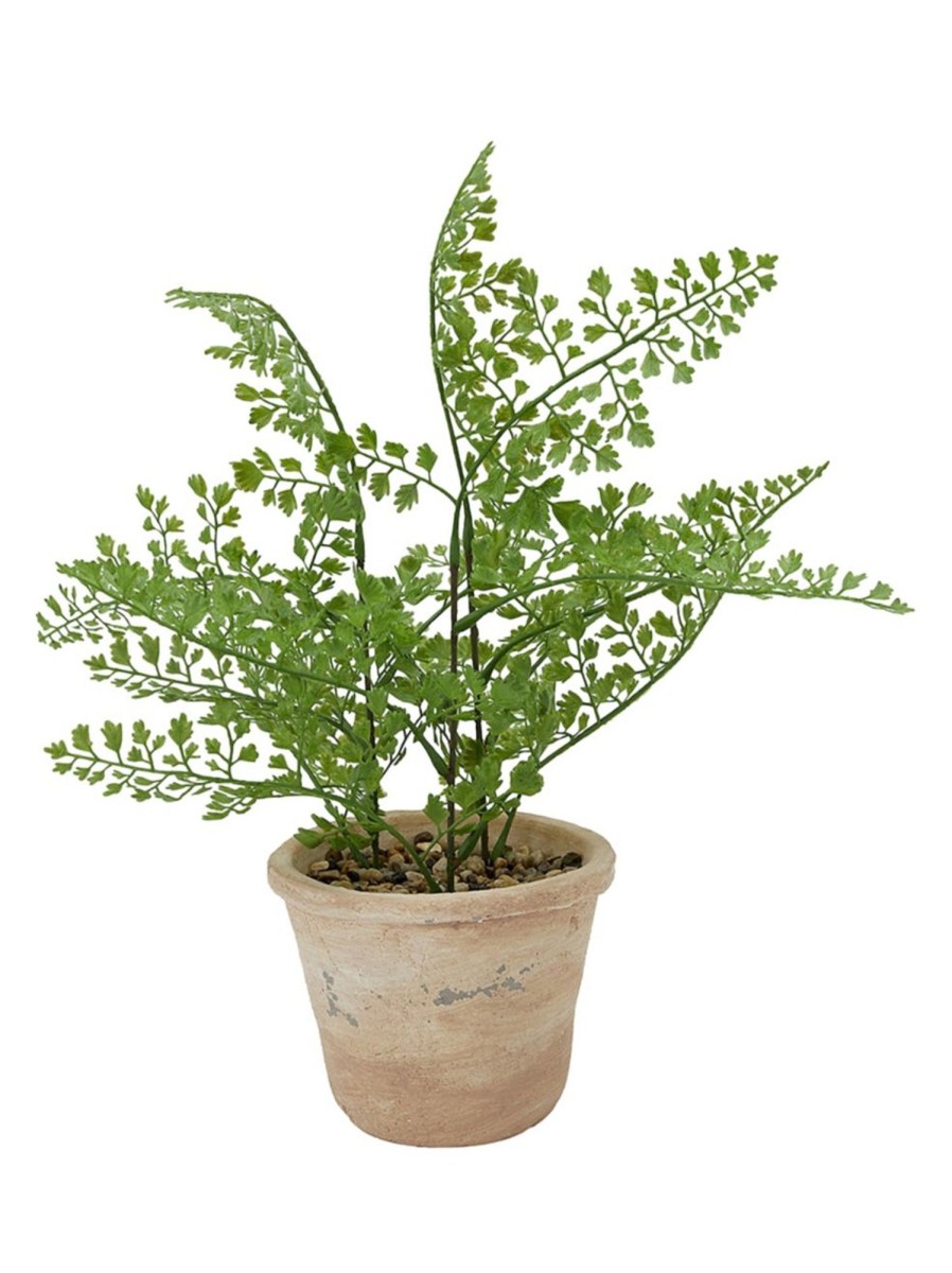 Home Living Anko Decorative Accents | Artificial Fern In Pot