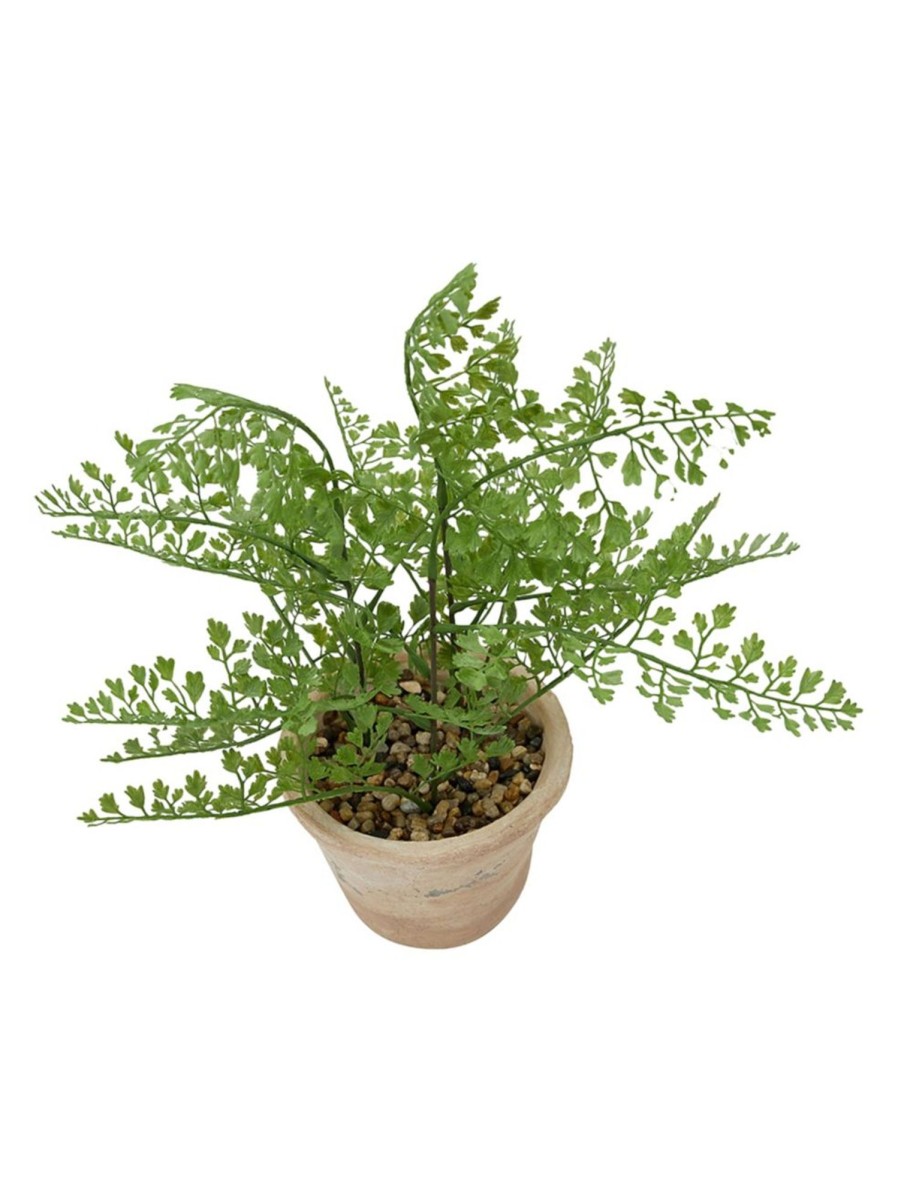 Home Living Anko Decorative Accents | Artificial Fern In Pot